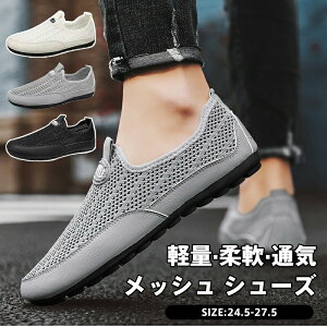 bV V[Y Y  ʋC K  JWA z C X|[c EhgDW[  y ~hq[ RȂ ʋCyʃVvȃ[t@[CRXbvyʏ_