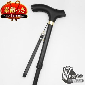 {v茳A~XebL LE-57 (uE/ubN)    v[g Mtg 蕨 a VjA  hV̓ U EH[LO gx s j c Y ̓ y