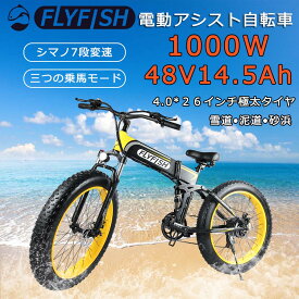 楽天市場 電動アシスト自転車 ファットバイクの通販