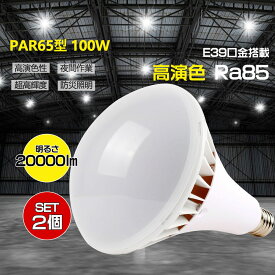 【お得2個セット】 PAR65型 100w形 全光束 高輝度 20000lm 高天井用LED照明 LEDスポットライト1000W型水銀灯交換用 省エネルギー E39通用口金 IP66 防雨防水 無騒音 高演色性 Ra85 無輻射 無チラつき 防虫 看板照明 屋内屋外 工場用 作業灯用 大型屋外看板 1年保証