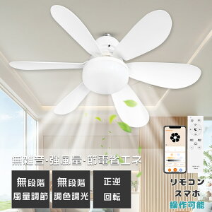 LEDV[OCg t@t T[L[^[ DC[^[ @ Rt LEDV[OCg  VƖ t@tƖ  LEDCg E26Ή @\ ^C}