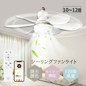 LEDV[Ot@Cg T[L[^[ V[OCg  F E26 VƖ @t iKʒ dc[^[ t] V[Ot@ 铔 ^C}[@\ Cz