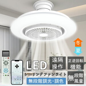 yt@ECǧ^zV[Ot@ V[OCg V[Ot@Cg LED Cz t@tƖ T[L[^[ VƖ 14 u DC[^[ Hsv t] 