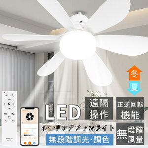 V[Ot@Cg T[L[^[ DC[^[ V@ V[OCg dc[^[ Cz ȃGl Q  m a t@tƖ F Cz LED @ 铔 