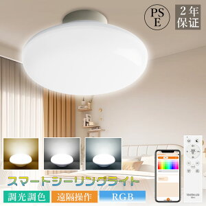 LED V[OCg 6  10w 20w F k RGB@\ 铔 LEDd J[Cg RGBCg VƖ ^ ^V[OCg Rt ԐڏƖ [@\ CeA