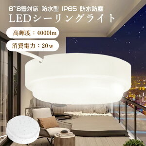 Ɩ oX[Cg V[OCg ledd 20w |[`Cg ^ LEDV[OCg 4 6 8   dF F F F h^LEDƖ  O oX[