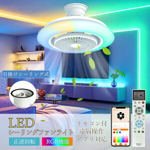 �V�[�����O�t�@�����C�g 10�� 12�� �V�[�����O���C�g RGB�@�\ �������F �T�[�L�����[�^�[ DC���[�^�[ �É� ��@ �V��Ɩ� ���r���O �V�[�����O �t�@�� �����R������ LED �V�[�����O���C�g ��