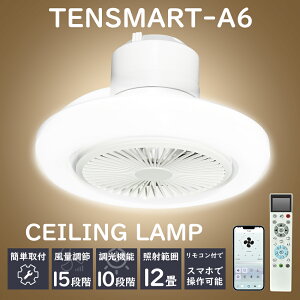 V[Ot@Cg V[Ot@ @ F RVƖ ^C}[ R |ft LED T[L[^[tƖ T[L[^[tCg PSEF؍ 