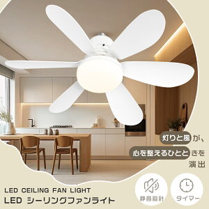 yREAvΉzV[Ot@Cg LED iK F t@ V[OCg @ 铔t LED LEDdt V[Ot@ FX}[g@\ 