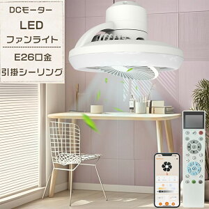  V[Ot@Cg LED F dF F Ɩ LED V[OCg @  t@tƖ LEDCg y iKʒ T[L[^[ DC[^[ LEDd