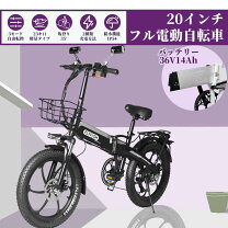 希少ブルドック ひねちゃ e-bike