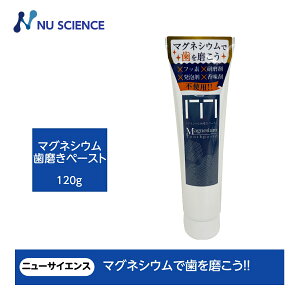 ニューサイエンス マグネシウム歯磨きペースト Toothpaste 120g 1本