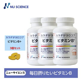 ニューサイエンス カラダがヨロコブビタミンB 粒タイプ 240粒 約2ヵ月分 3個セット