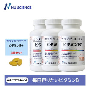 �j���[�T�C�G���X �J���_�������R�u�r�^�~��B ���^�C�v 240�� ��2������ 3�Z�b�g