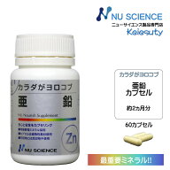 ニューサイエンス カラダがヨロコブ亜鉛 サプリ カプセルタイプ 21g(350mgx60カプセル) 60カプセル入り …