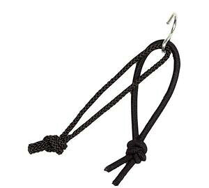 OSTRICH I[Xgb` `F[nK[ ֍sANZT[