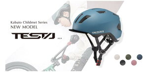 I[W[P[Jug(OGK KABUTO)@TESTAieX^jwbg