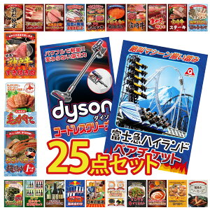 �i�i �p�l�� �ژ^ 25�_�Z�b�g �x�m�} �y�A �`�P�b�g Dyson �R�[�h���X�N���[�i�[ �^���o�K�j 1kg �k�C�� �уK�j �_�ˋ� �����Ă� �r���S ������ �񎟉� ��I�� ��ЃC�x���g �S���t�R���y �Y�N��