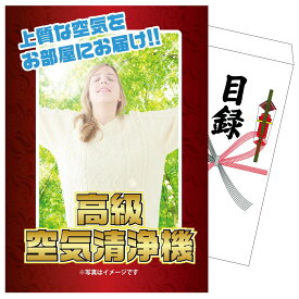 景品 パネル 目録 高級空気清浄機（※ジョーク商品） 単品 ビンゴ 結婚式 二次会 披露宴 会社イベント ゴルフコンペ 忘年会 抽選会