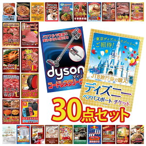 �i�i �p�l�� �ژ^ 30�_�Z�b�g �f�B�Y�j�[ �y�A �`�P�b�g Dyson �R�[�h���X�N���[�i�[ Nintendo Switch �l�X�J�t�F �o���X�^ ���㋍ 1kg �r���S ������ �񎟉� ��I�� ��ЃC�x���g �S���t�R���y �Y�N