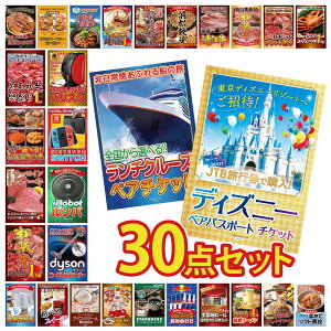 �i�i �p�l�� �ژ^ 30�_�Z�b�g �f�B�Y�j�[ �y�A �`�P�b�g �����`�N���[�Y �y�A �`�P�b�g Dyson �R�[�h���X�N���[�i�[ �����o Nintendo Switch �r���S ������ �񎟉� ��I�� ��ЃC�x���g �S���t�R��