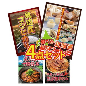 ii pl ژ^ 4_Zbg Iׂ \ XC[c Y RVqJ 2kg \ ؘ kC rS  񎟉 I ЃCxg StRy YN I