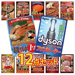 y|Cg10{I100%obNvGg[zii pl ژ^ 12_Zbg Dyson C@ ^oKj 1kg Iׂ {苍 Iׂ Y Ȃ kC  rS  񎟉 I