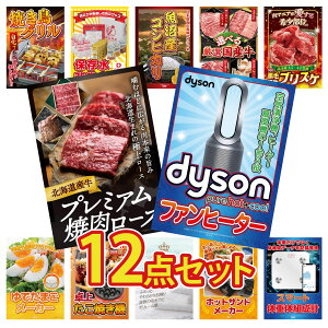 y|Cg10{I100%obNvGg[zii pl ژ^ 12_Zbg Dyson C@ DIRECT H ̑gv kC  ē [X јa uXP rS  񎟉 I