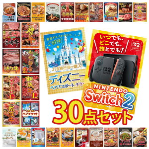 �y�|�C���g10�{��9������z�i�i �p�l�� �ژ^ 30�_�Z�b�g Nintendo Switch 2 A3�p�l�� �f�B�Y�j�[ �y�A �`�P�b�g �I�ׂ� �e�[�}�p�[�N �y�A �`�P�b�g ���㋍ 1kg �ɐ��C�V �r���S ������ �񎟉� ��I��
