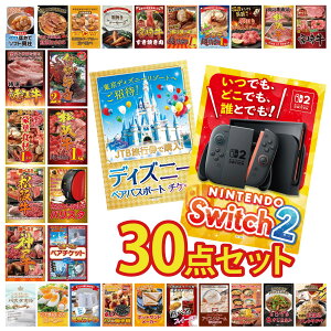 �y�|�C���g10�{��9������z�i�i �p�l�� �ژ^ 30�_�Z�b�g Nintendo Switch 2 A3�p�l�� �f�B�Y�j�[ �y�A �`�P�b�g �I�ׂ� �e�[�}�p�[�N �y�A �`�P�b�g �l�X�J�t�F �o���X�^ ���㋍ 1kg �r���S ������ ��
