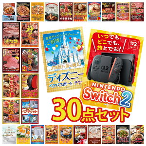 �y�|�C���g10�{��9������z�i�i �p�l�� �ژ^ 30�_�Z�b�g Nintendo Switch 2 A3�p�l�� �f�B�Y�j�[ �y�A �`�P�b�g �I�ׂ� �e�[�}�p�[�N �y�A �`�P�b�g �l�X�J�t�F �o���X�^ �ɐ��C�V �r���S ������ ��