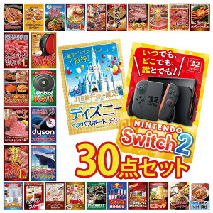 �y�|�C���g10�{���v�G���g���[�z�i�i �p�l�� �ژ^ 30�_�Z�b�g Nintendo Switch 2 A3�p�l�� �f�B�Y�j�[ �y�A �`�P�b�g �����`�N���[�Y �y�A �`�P�b�g Dyson �R�[�h���X�N���[�i�[ �����o �r���S ����