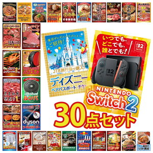 �y�|�C���g10�{��9������z�i�i �p�l�� �ژ^ 30�_�Z�b�g Nintendo Switch 2 A3�p�l�� �f�B�Y�j�[ �y�A �`�P�b�g Dyson �R�[�h���X�N���[�i�[ �����o �l�X�J�t�F �o���X�^ �r���S ������ �񎟉� ��I��