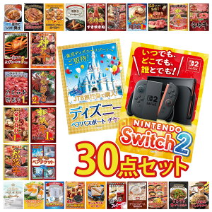�y�|�C���g10�{��9������z�i�i �p�l�� �ژ^ 30�_�Z�b�g Nintendo Switch 2 A3�p�l�� �f�B�Y�j�[ �y�A �`�P�b�g �I�ׂ� �e�[�}�p�[�N �y�A �`�P�b�g ���㋍ 1kg �ɐ��C�V �r���S ������ �񎟉� ��I��