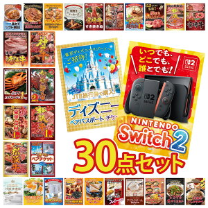 �y�|�C���g10�{��9������z�i�i �p�l�� �ژ^ 30�_�Z�b�g Nintendo Switch 2 A3�p�l�� �f�B�Y�j�[ �y�A �`�P�b�g �I�ׂ� �e�[�}�p�[�N �y�A �`�P�b�g ���㋍ 1kg �ɐ��C�V �r���S ������ �񎟉� ��I��