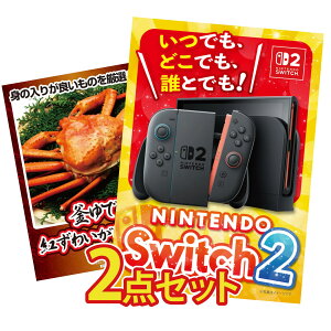 �y�|�C���g10�{��9������z�i�i �p�l�� �ژ^ 2�_�Z�b�g Nintendo Switch 2 A3�p�l�� �g�Y���C�K�j 1kg �r���S ������ �񎟉� ��I�� ��ЃC�x���g �S���t�R���y �Y�N�� ���I��