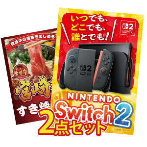 �i�i �p�l�� �ژ^ 2�_�Z�b�g Nintendo Switch 2 A3�p�l�� �{�苍 �����₫�� �r���S ������ �񎟉� ��I�� ��ЃC�x���g �S���t�R���y �Y�N�� ���I��
