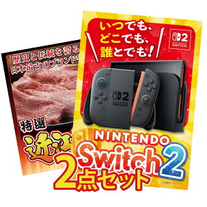 �i�i �p�l�� �ژ^ 2�_�Z�b�g Nintendo Switch 2 A3�p�l�� �ߍ]�� �ؗ��� �r���S ������ �񎟉� ��I�� ��ЃC�x���g �S���t�R���y �Y�N�� ���I��