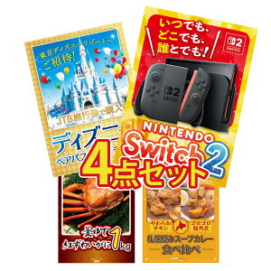 �y�|�C���g10�{��9������z�i�i �p�l�� �ژ^ 4�_�Z�b�g Nintendo Switch 2 A3�p�l�� �f�B�Y�j�[ �y�A �`�P�b�g �g�Y���C�K�j 1kg �D�y �X�[�v�J���[ �r���S ������ �񎟉� ��I�� ��ЃC�x���g �S��