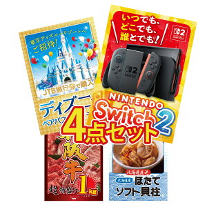 �y�|�C���g10�{��9������z�i�i �p�l�� �ژ^ 4�_�Z�b�g Nintendo Switch 2 A3�p�l�� �f�B�Y�j�[ �y�A �`�P�b�g ���㋍ 1kg �k�C�� �ق��ĊL�� �r���S ������ �񎟉� ��I�� ��ЃC�x���g �S���t�R��