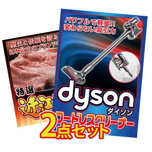 ii pl ژ^ 2_Zbg _C\ |@ Dyson R[hXN[i[  |@ ߍ] a uh Ԃ Ă ژ^ rS  񎟉 I ЃCxg S