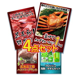 ii pl ژ^ 4_Zbg CN K I Jj  a n {n Mtg tbV  lߍ킹 ii ژ^ rS  񎟉 I ЃCxg StRy YN 