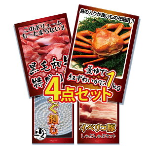 y|Cg15{I300%obNvGg[z ii pl ژ^ 4_Zbg CN K I Jj  a Y ӂ ӂh tO CxR o،ii ژ^ rS  񎟉 