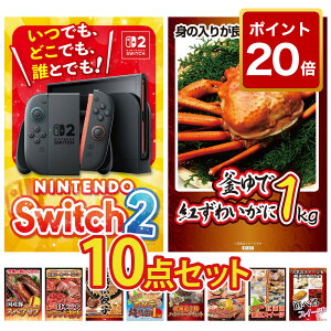 �y�|�C���g20�{�z�i�i �p�l�� �ژ^ 10�_�Z�b�g Nintendo SWITCH 2 �g�Y���C�K�j 1kg ���Y �X�y�A���u 1kg �I�ׂ� �O��u�����h �a�� ���I �͂܂܂� �L�q �r���S ������ �񎟉� ��I�� ��ЃC�x���g �S