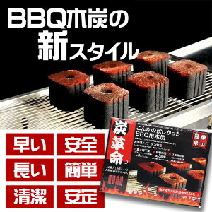 Yv BBQpؒY 3×4 T4595989605019 o[xL[p ؒY 900g 3~4lp BBQ l  ɂ p ΍ܕsv Lv Y  ȒP 