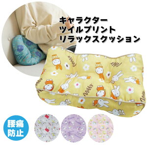 4�킩��I�ׂ�|�L�����N�^�[�c�C���v�����g�����b�N�X�N�b�V���� ������ ���ɖh�~ �^�]�� �N�b�V���� �~�b�t�B�[ �X�k�[�s�[