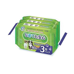 ybgp EFbgeBbV80×3P T-4523905008415  L ӂ { L  Hi mAR[ q
