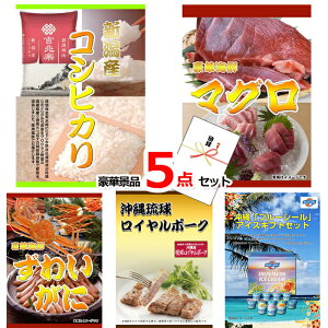 YN VŇii͂C rS ii pl ژ^ VYRVqJ}OYCKj5_Zbg iipltژ^ 15223  StRy Cxg I