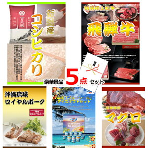 StRy ii ژ^ VYRVqJˋēꗮC|[N5_Zbg iipltژ^ 15224 rS 񎟉 Cxg I