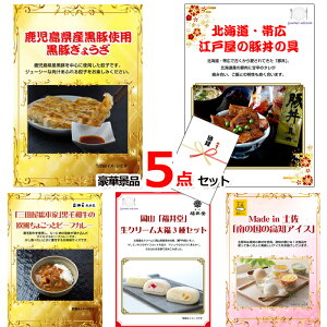  ii 񎟉 rS iinbs[IISO5_ZbgC iA4plj iipltژ^ 15230 ii ژ^ pl Cxg I